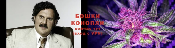 винт Абаза