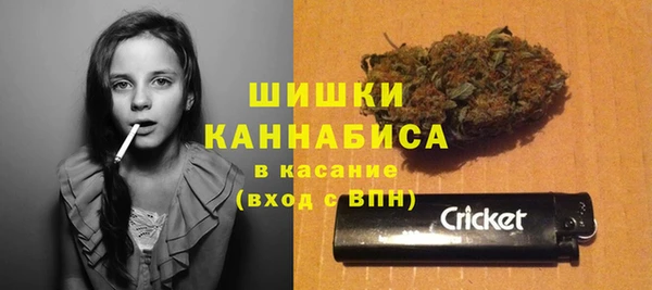 винт Абаза