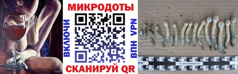 цены Иланский Псилоцибиновые грибы мицелий